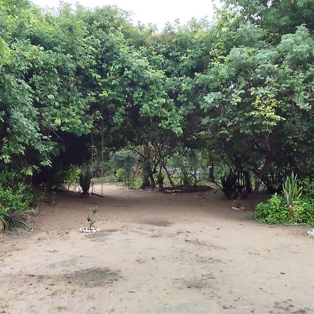 Little Baobab Bed & Breakfast Abeme Exterior photo