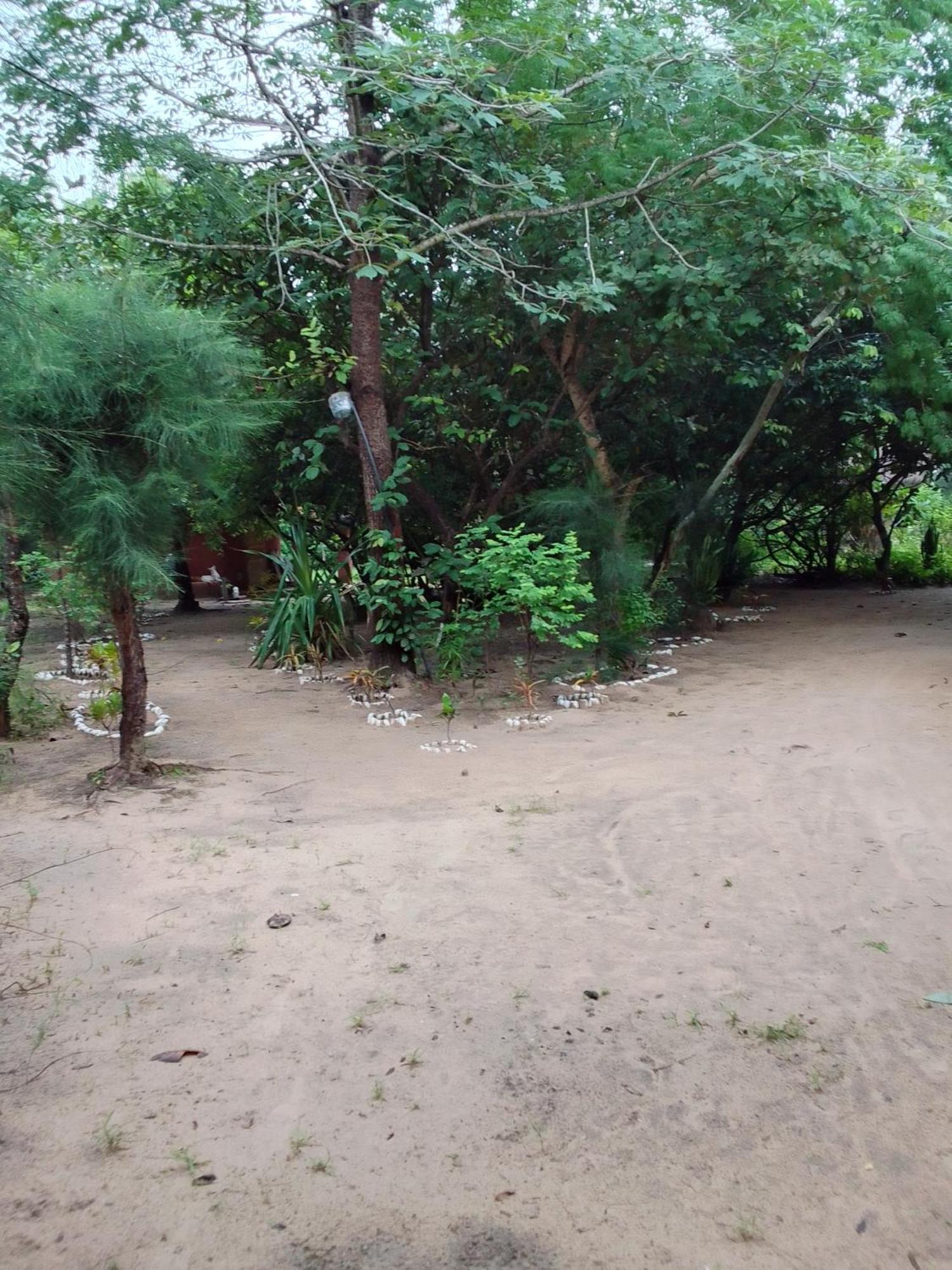 Little Baobab Bed & Breakfast Abeme Exterior photo