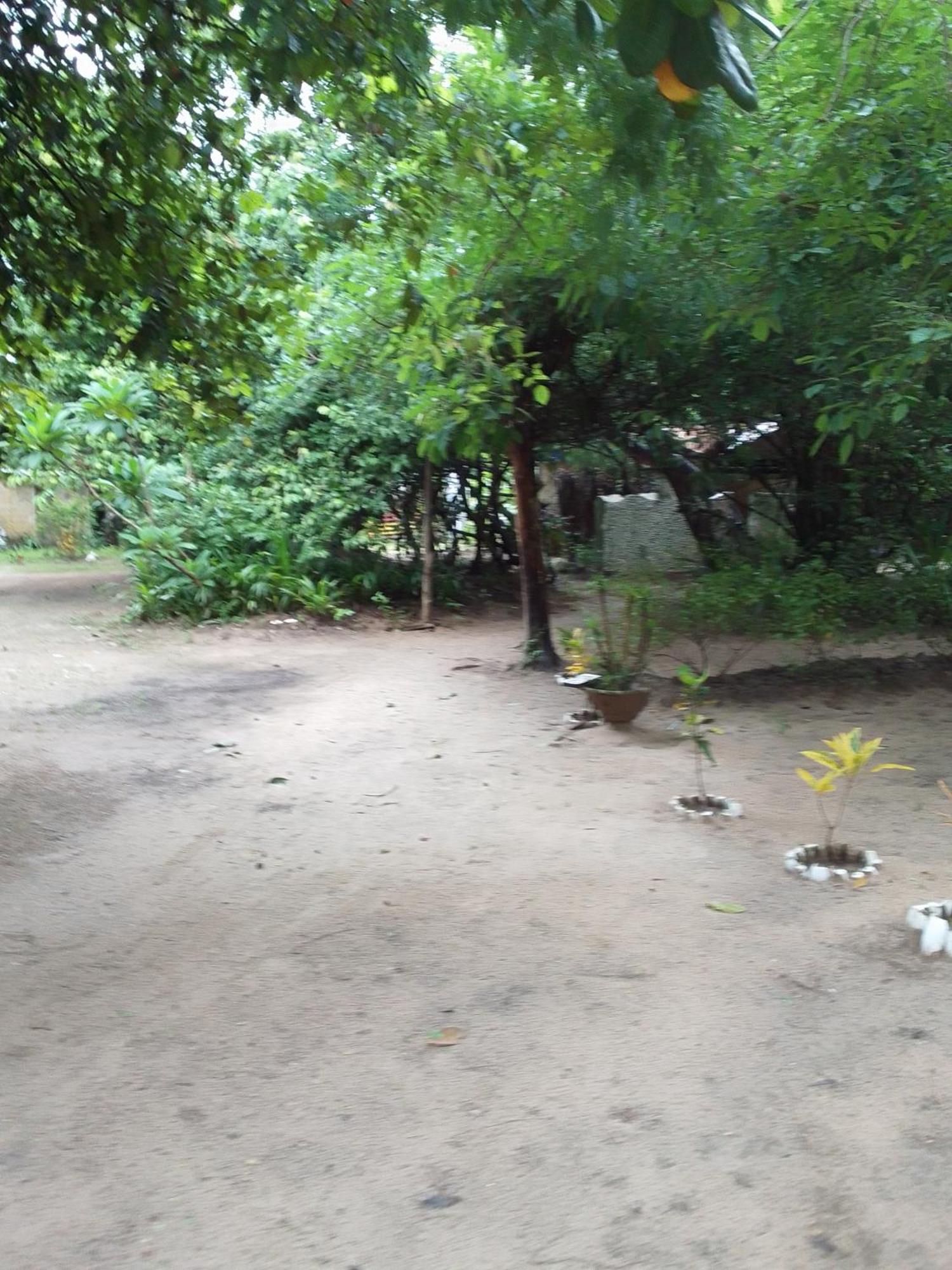 Little Baobab Bed & Breakfast Abeme Exterior photo