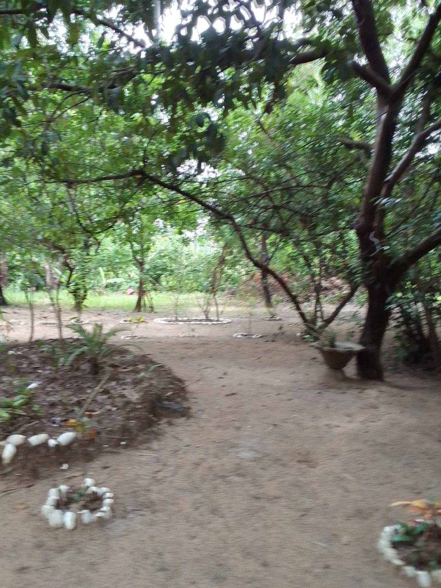 Little Baobab Bed & Breakfast Abeme Exterior photo