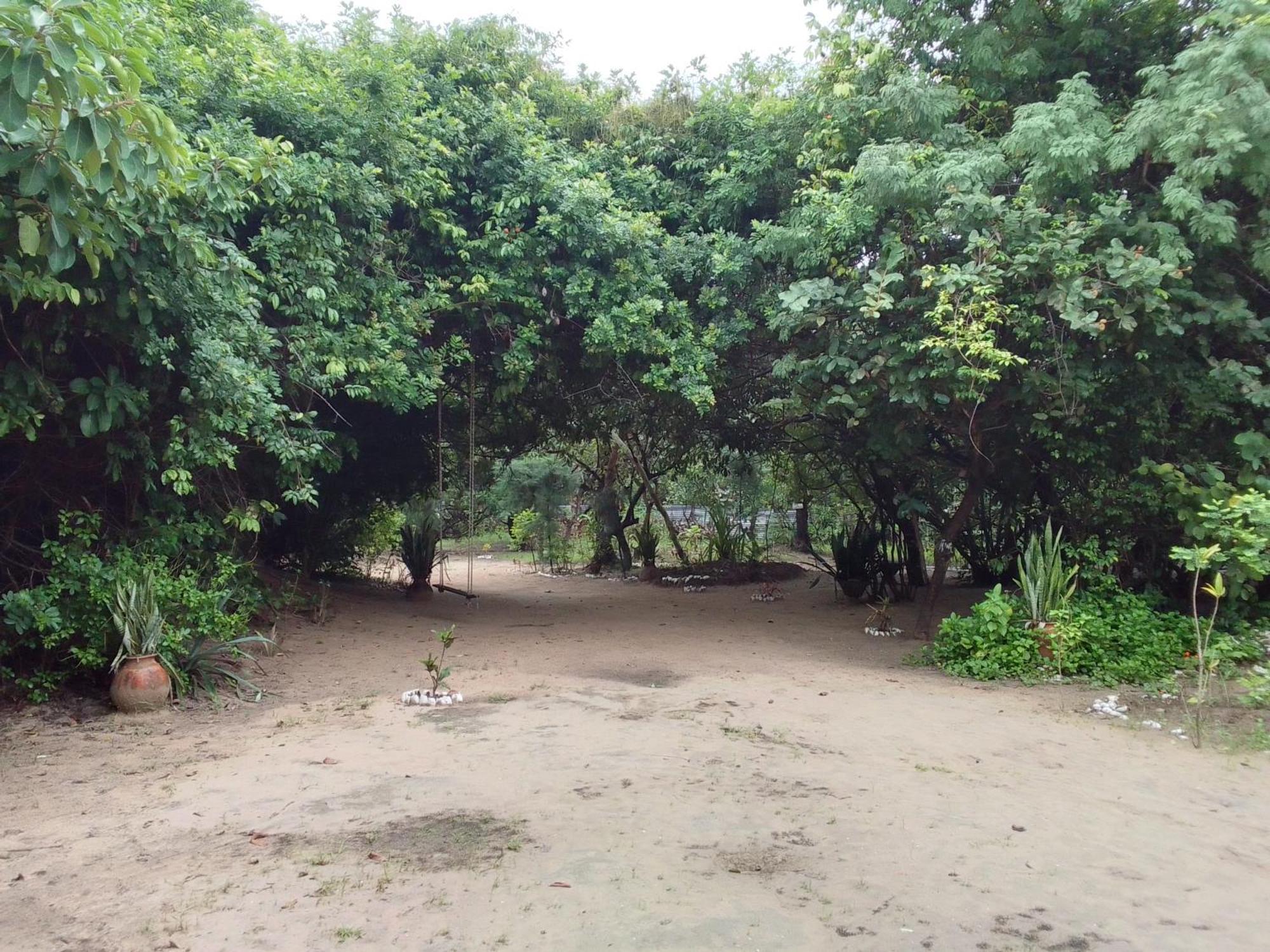Little Baobab Bed & Breakfast Abeme Exterior photo